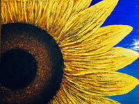 You are my sunshine