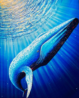 My blue whale