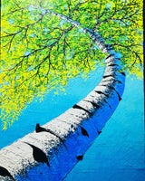 My beautiful birch tree